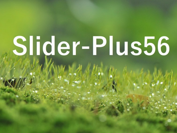Slider-Plus56-1