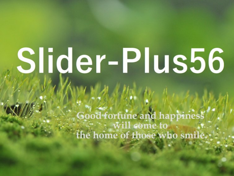Slider-Plus56-2